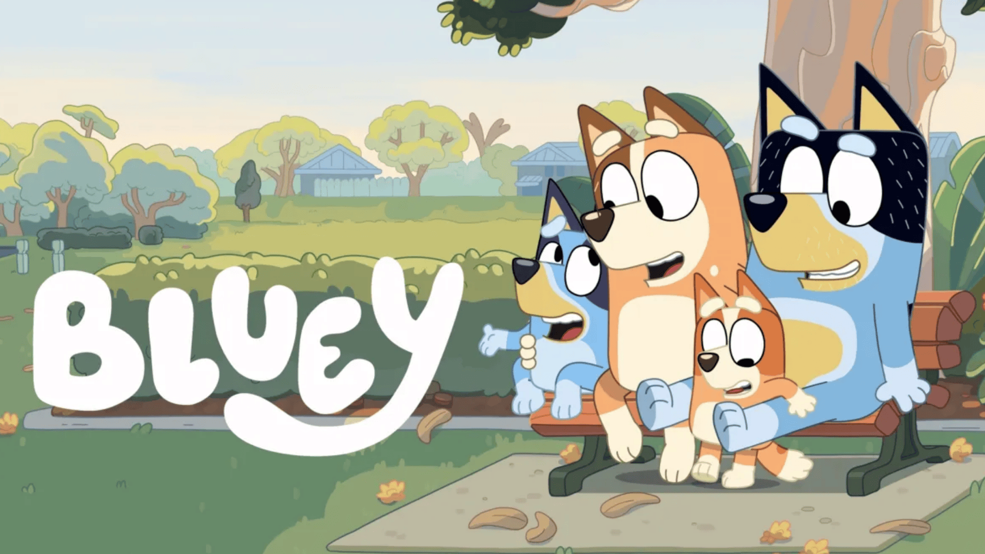 bluey low stimulation show for toddlers