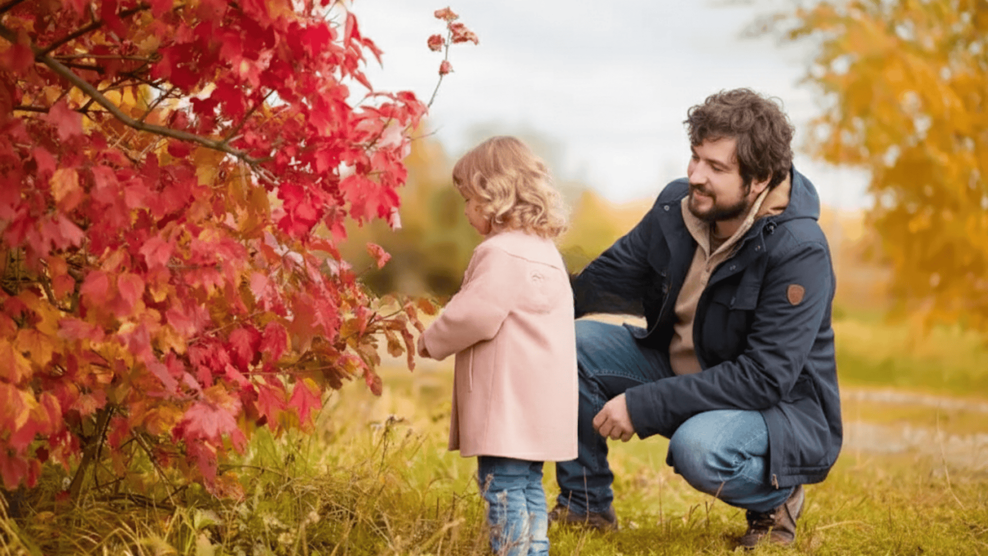 dads outfit for outdoor fall family photo outfits
