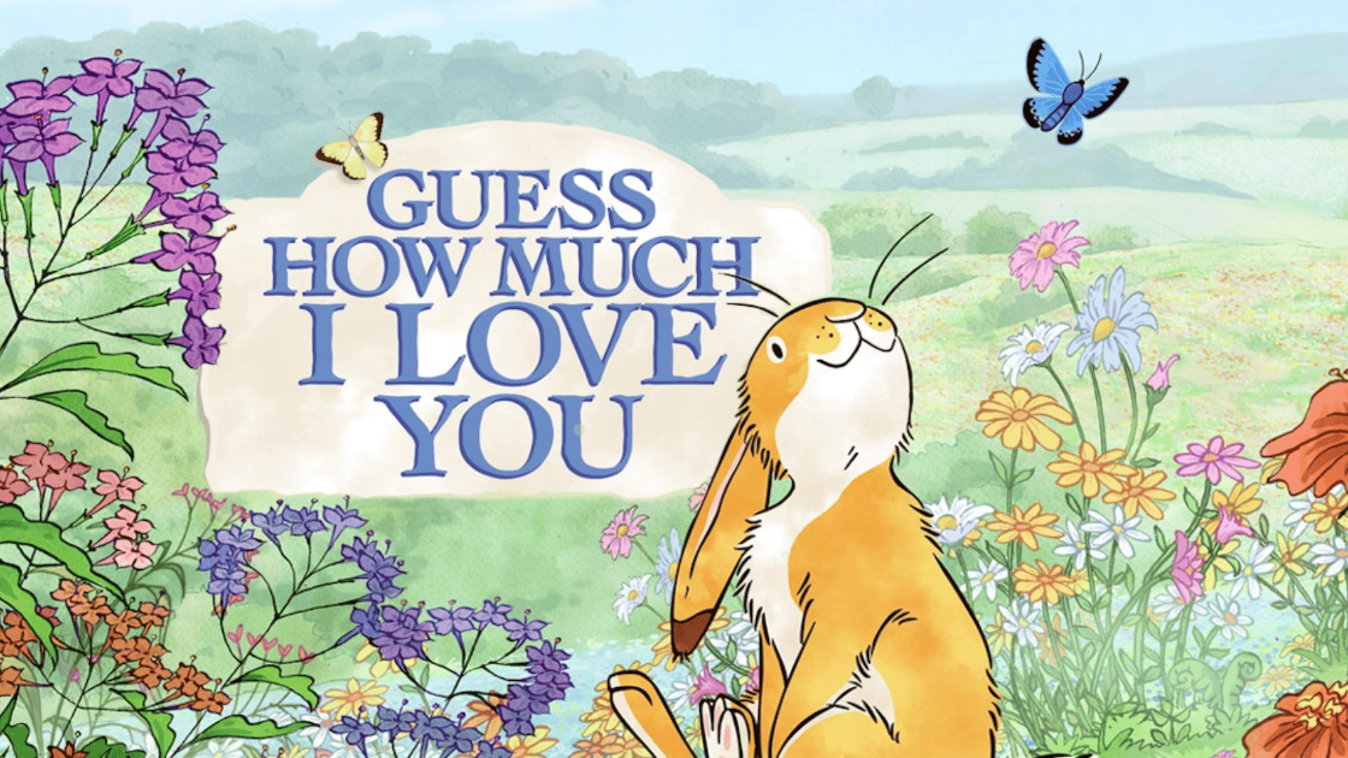 guess how much i love you low stimulation show for toddlers