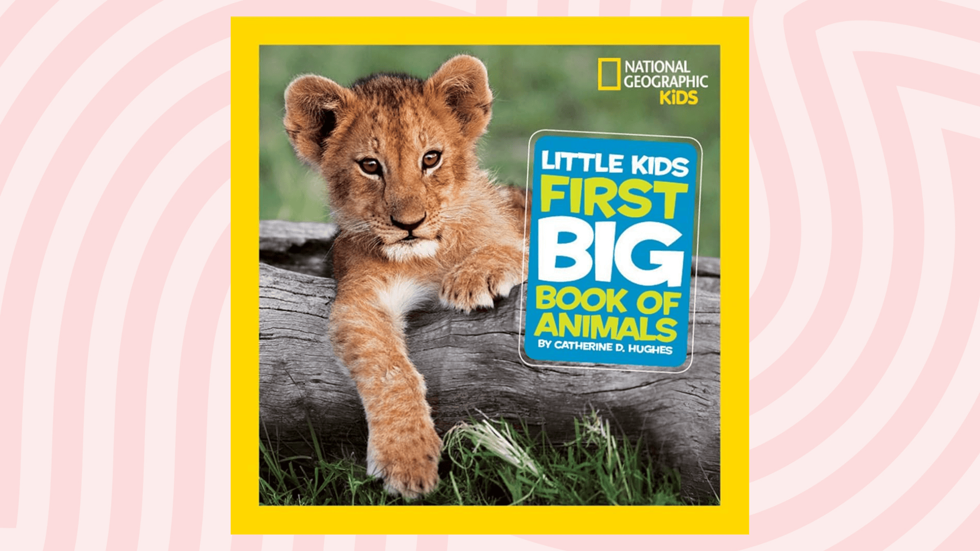 national geographic little kids first big book of animals by catherine d hughes